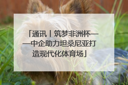 通讯丨筑梦非洲杯——中企助力坦桑尼亚打造现代化体育场