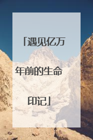 遇见亿万年前的生命印记