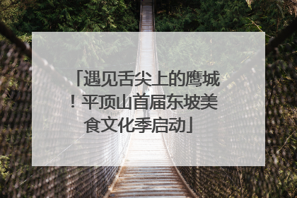 遇见舌尖上的鹰城！平顶山首届东坡美食文化季启动