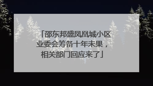 邵东邦盛凤凰城小区业委会筹备十年未果，相关部门回应来了