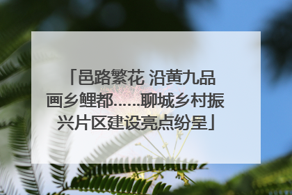 邑路繁花 沿黄九品 画乡鲤都……聊城乡村振兴片区建设亮点纷呈