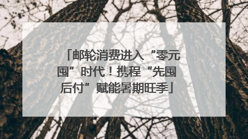 邮轮消费进入“零元囤”时代！携程“先囤后付”赋能暑期旺季
