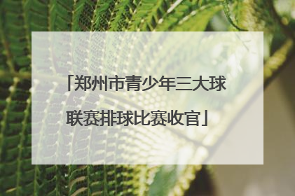 郑州市青少年三大球联赛排球比赛收官
