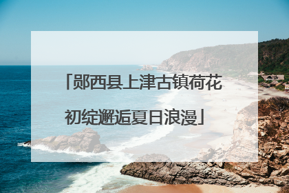 郧西县上津古镇荷花初绽邂逅夏日浪漫
