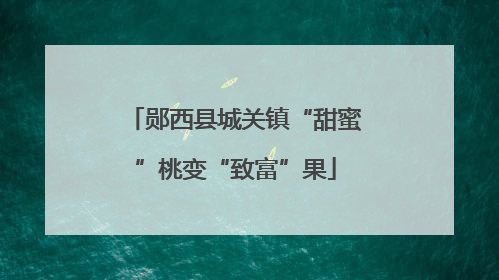 郧西县城关镇“甜蜜”桃变“致富”果