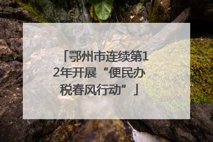 鄂州市连续第12年开展“便民办税春风行动”