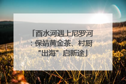 酉水河遇上尼罗河：保靖黄金茶、村厨“出海”启新途