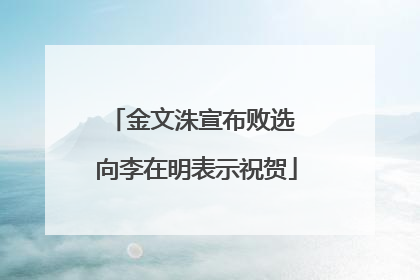 金文洙宣布败选 向李在明表示祝贺