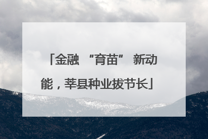 金融 “育苗” 新动能，莘县种业拔节长