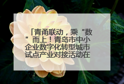青甬联动，乘“数”而上！青岛市中小企业数字化转型城市试点产业对接活动在宁波开班