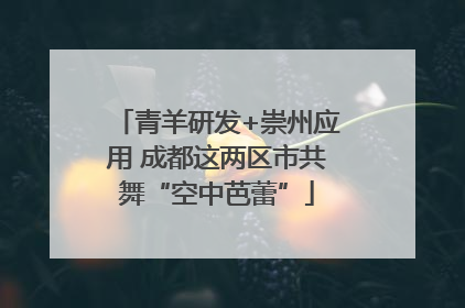 青羊研发+崇州应用 成都这两区市共舞“空中芭蕾”