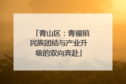 青山区：青福镇民族团结与产业升级的双向奔赴