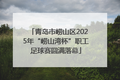 青岛市崂山区2025年“崂山湾杯”职工足球赛圆满落幕