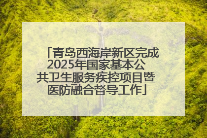 青岛西海岸新区完成2025年国家基本公共卫生服务疾控项目暨医防融合督导工作