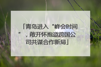 青岛进入“峰会时间”，敞开怀抱邀跨国公司共谋合作新局