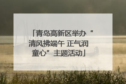 青岛高新区举办“清风拂端午 正气润童心”主题活动