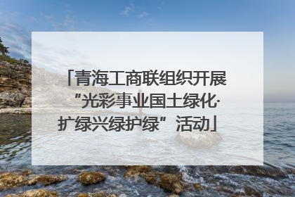 青海工商联组织开展“光彩事业国土绿化·扩绿兴绿护绿”活动