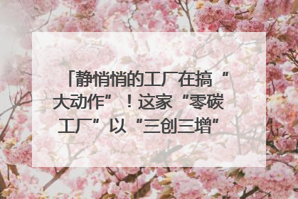 静悄悄的工厂在搞“大动作”！这家“零碳工厂”以“三创三增”探索共富新路径｜网络名人四川行