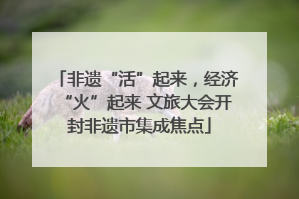 非遗“活”起来，经济“火”起来 文旅大会开封非遗市集成焦点