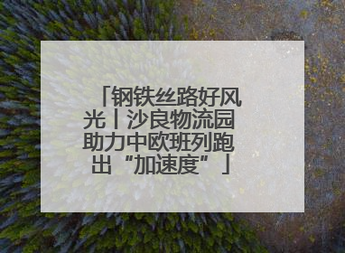 钢铁丝路好风光丨沙良物流园助力中欧班列跑出“加速度”