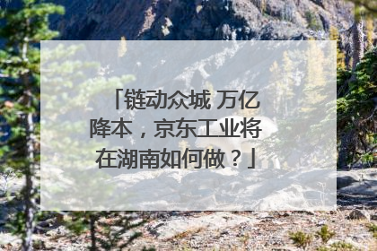 链动众城 万亿降本，京东工业将在湖南如何做？