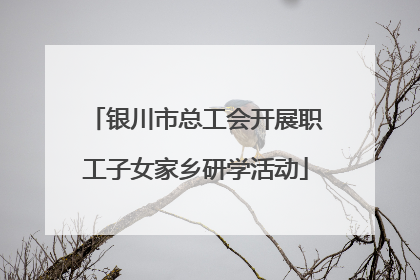 银川市总工会开展职工子女家乡研学活动