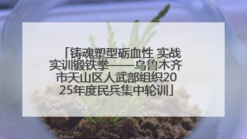 铸魂塑型砺血性 实战实训锻铁拳——乌鲁木齐市天山区人武部组织2025年度民兵集中轮训