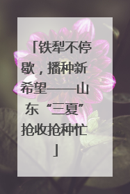 铁犁不停歇，播种新希望——山东“三夏”抢收抢种忙