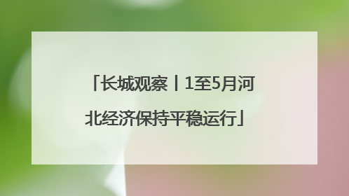 长城观察丨1至5月河北经济保持平稳运行