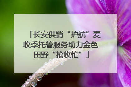 长安供销“护航”麦收季托管服务助力金色田野“抢收忙”