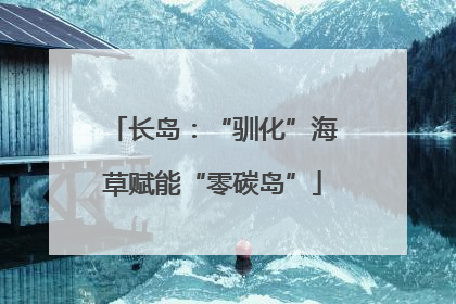 长岛：“驯化”海草赋能“零碳岛”