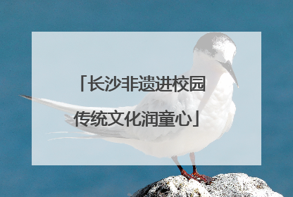 长沙非遗进校园 传统文化润童心