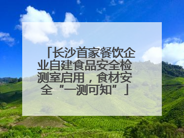 长沙首家餐饮企业自建食品安全检测室启用，食材安全“一测可知”