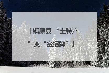 镇原县 “土特产”变“金招牌”