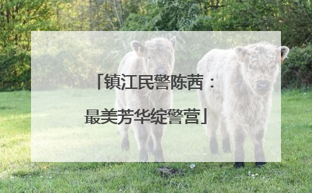镇江民警陈茜：最美芳华绽警营