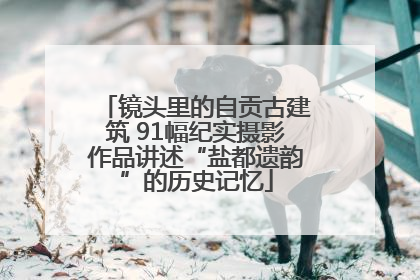 镜头里的自贡古建筑 91幅纪实摄影作品讲述“盐都遗韵”的历史记忆