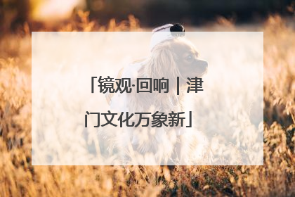 镜观·回响｜津门文化万象新