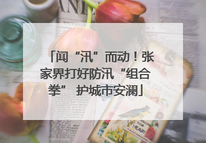 闻“汛”而动！张家界打好防汛“组合拳” 护城市安澜