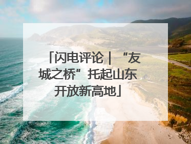 闪电评论｜“友城之桥”托起山东开放新高地