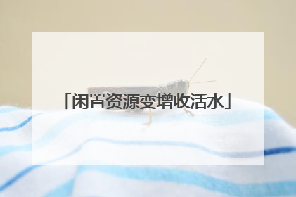 闲置资源变增收活水