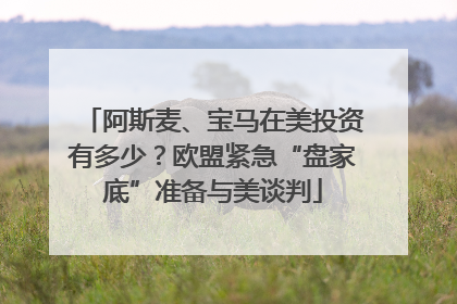 阿斯麦、宝马在美投资有多少？欧盟紧急“盘家底”准备与美谈判
