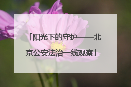 阳光下的守护——北京公安法治一线观察