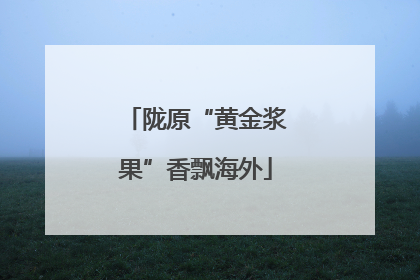 陇原“黄金浆果”香飘海外