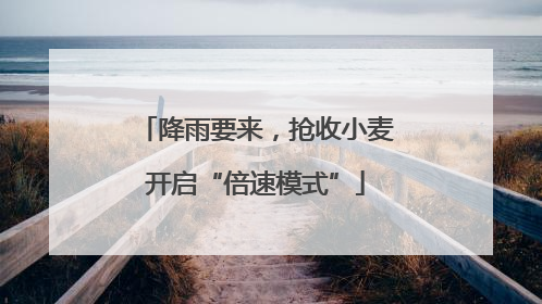 降雨要来，抢收小麦开启“倍速模式”