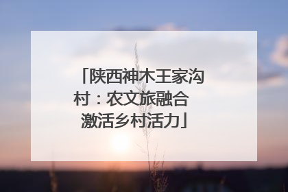 陕西神木王家沟村：农文旅融合 激活乡村活力