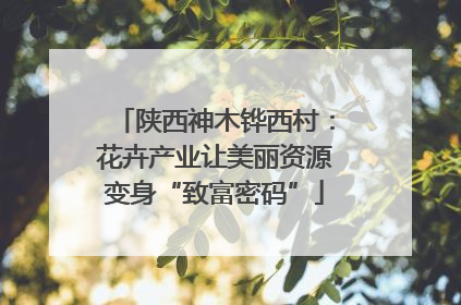 陕西神木铧西村：花卉产业让美丽资源变身“致富密码”