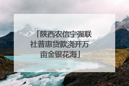 陕西农信宁强联社普惠贷款浇开万亩金银花海