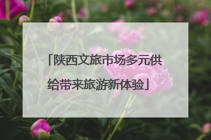 陕西文旅市场多元供给带来旅游新体验