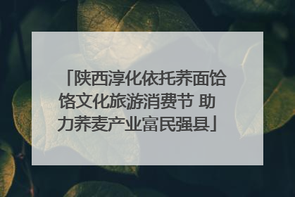 陕西淳化依托荞面饸饹文化旅游消费节 助力荞麦产业富民强县