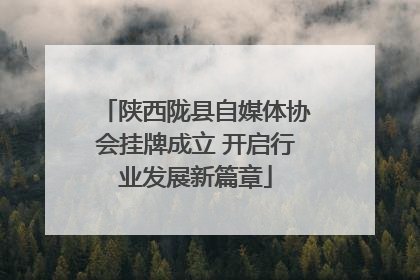 陕西陇县自媒体协会挂牌成立 开启行业发展新篇章
